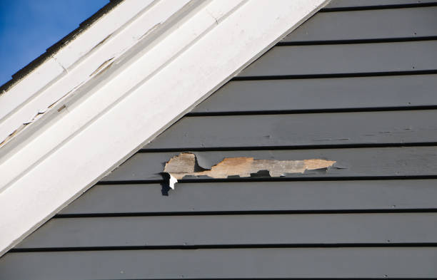 Best Storm Damage Siding Repair  in Sullivan, IL